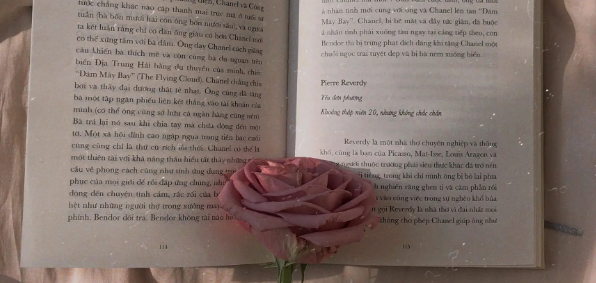 sci开源和非开源的区别