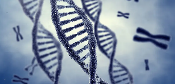 遗传方向有哪些sci期刊