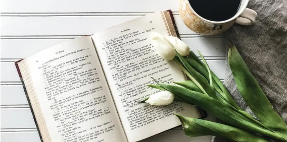 论文评审部分审回是什么意思