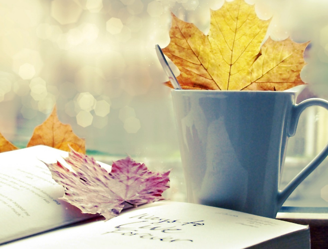 四级律师是初级职称