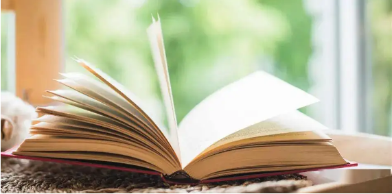 scopus相当于国内的几级期刊