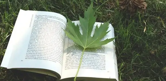 综述论文的研究方法有哪些