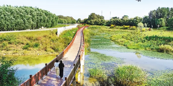 cscd有哪些环境类期刊