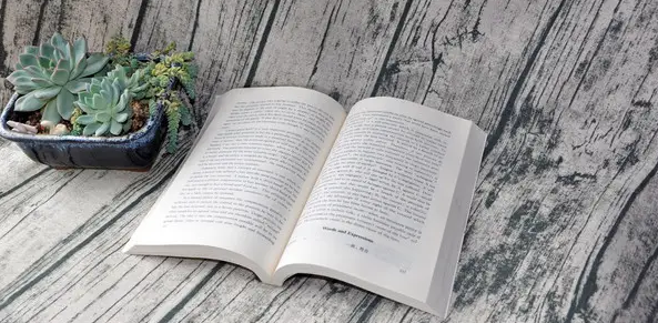 sci论文字数包括哪些