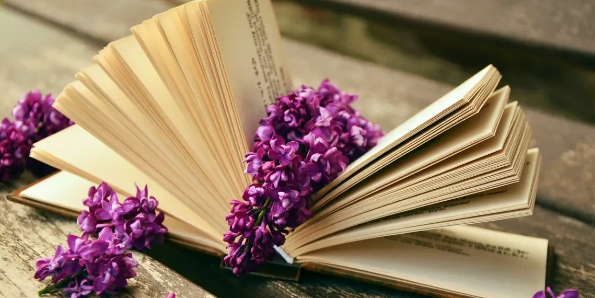 论文开题报告查重吗