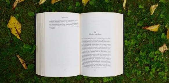 ssci是英文论文吗