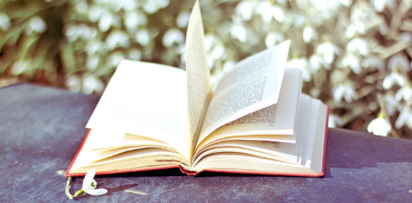 论文框架和论文大纲一样吗