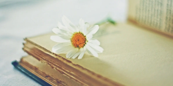 sci论文摘要会查重吗