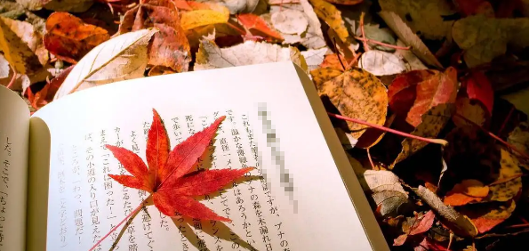 ei源刊属于核心刊物吗