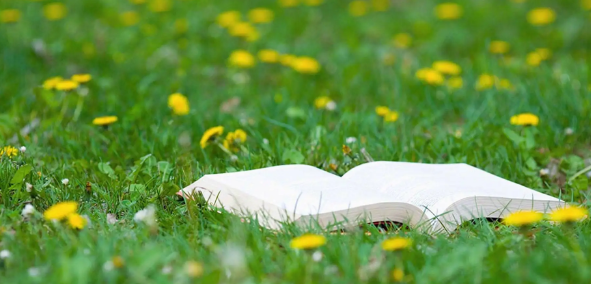 sci论文返修能够修改数据吗