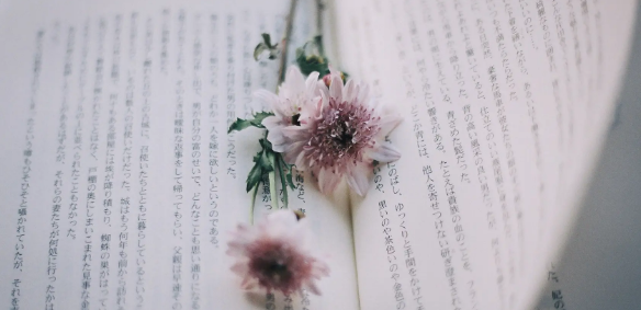 istp检索和ei检索区别