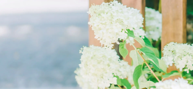 论文引用数量有要求吗