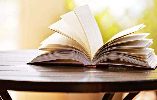 本科论文参考文献有无要求