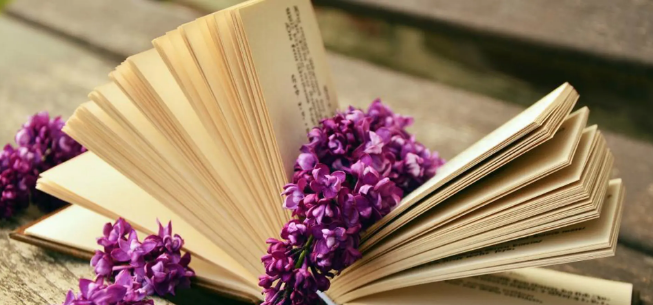 sci引用算抄袭吗