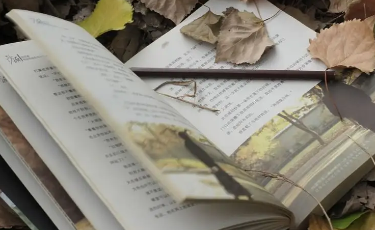 ei正刊包括ei会议吗