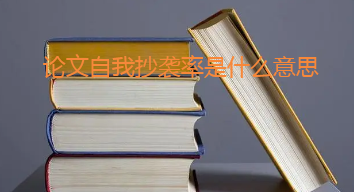 论文自我抄袭率是什么意思