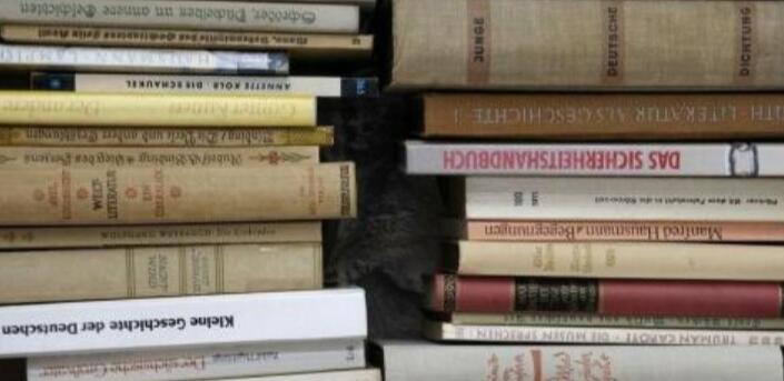 机器视觉论文是SCOPUS收录方向吗