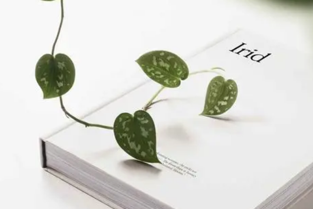 ssci论文的审稿周期大概是多久