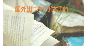 国外出书如何做好翻译