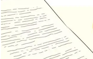 论文撤稿的原因