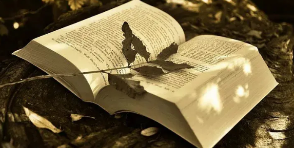 SCI插图规范化操作