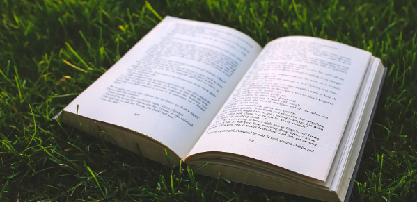 论著与综述的区别