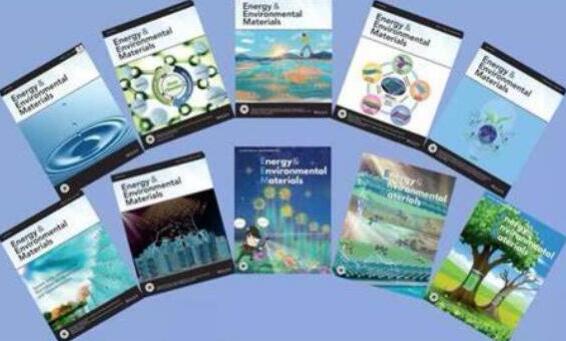 环境修复论文版面