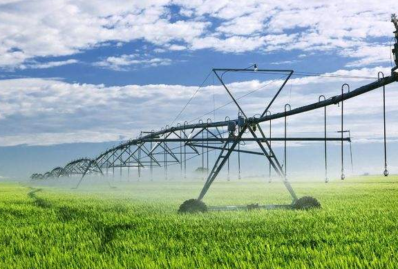 林业技术员职称评定条件