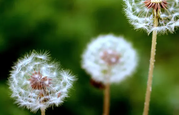 新闻初级职称评定条件