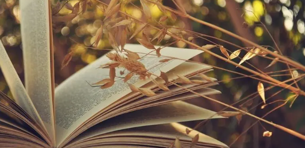 论著和专著的区别