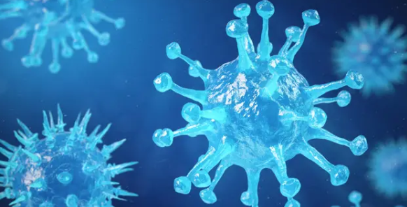 真菌学sci期刊有哪些