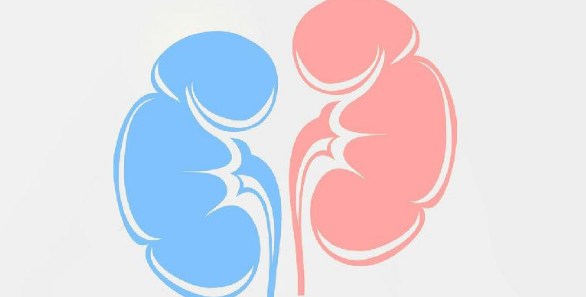 泌尿外科有好发的期刊吗