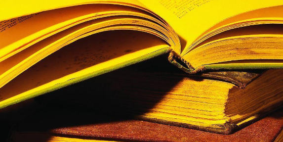 论文简介包括什么