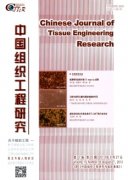 中国组织工程研究杂志社发表方式及邮箱