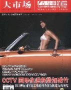 大市场.广告导报论文