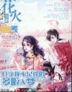 《花火B版》是国际级期刊吗？
