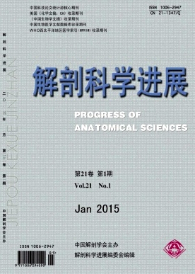 解剖科学进展