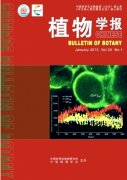 sci流程是怎样的