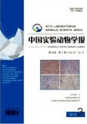 申报副高级兽医师所需材料