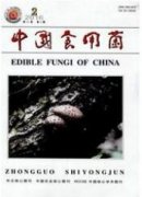 中国食用菌是中文核心吗