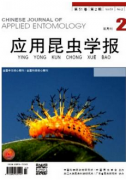 农艺师评审在哪些期刊