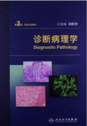 诊断病理学杂志版面费