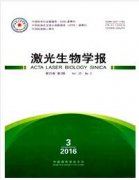 通用的论文格式是什么样的