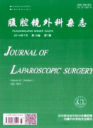 腹腔镜外科杂志如何