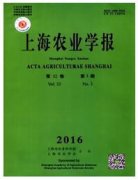 农民技术人员职称评定条件