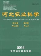 高级农业职称评审条件有哪些