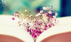 在我国著作权可以进行转让吗