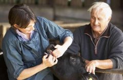 兽医专业技术高级职称评审条件