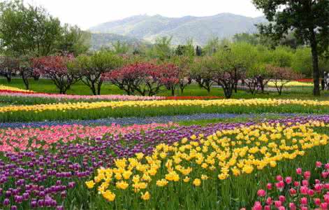 园林中级工程师可以评园林高级工程师吗