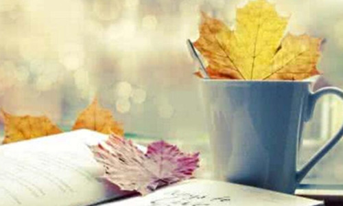 自费出书书号有限制吗